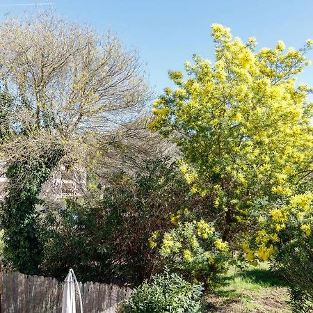 Palme D'Or Yourhosthelper Mandelieu Εξωτερικό φωτογραφία