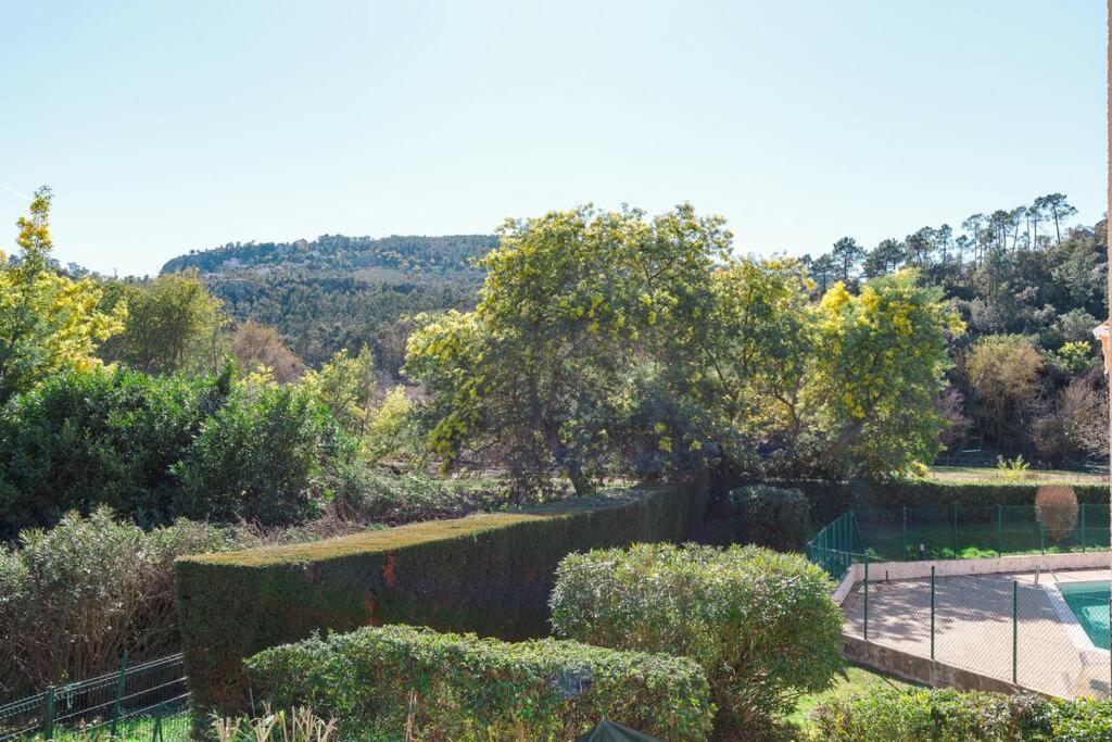 Palme D'Or Yourhosthelper Mandelieu Εξωτερικό φωτογραφία